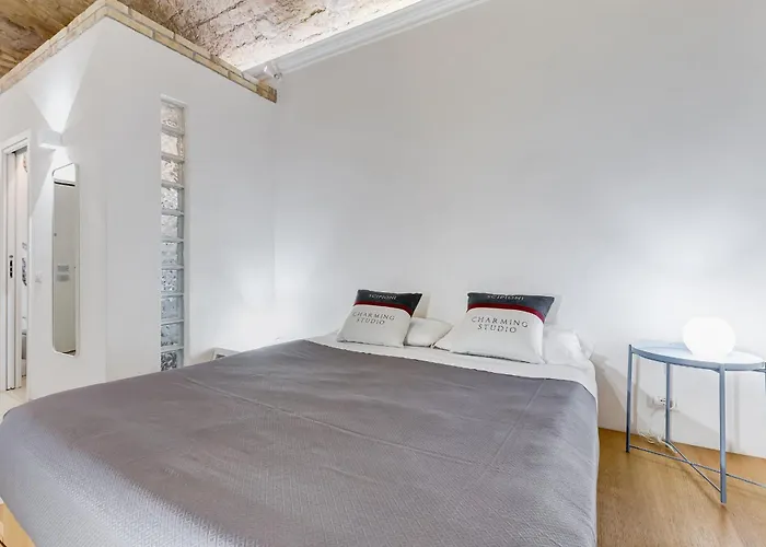 Apartment Scipioni Charming Studio Patio Near The Vatican And The Metro Rome