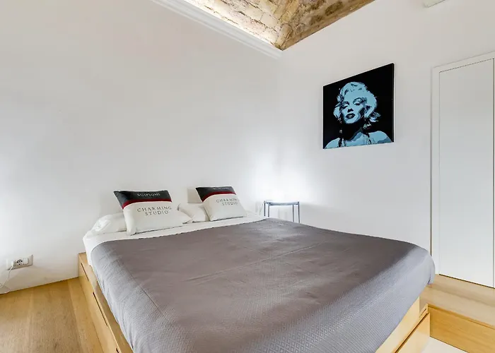 Apartment Scipioni Charming Studio Patio Near The Vatican And The Metro *